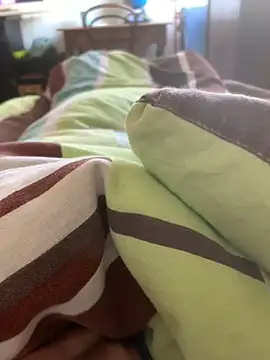 solomec online show from February 2025 08:59:02 AM