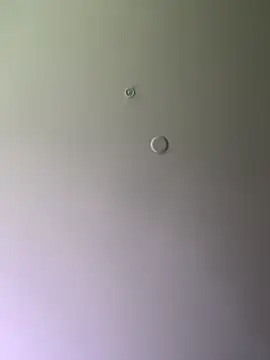 themasteer69 online show from January 2025 08:03:02 PM