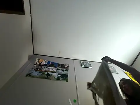 IvanaPlenty online show from February 2026 12:50:02 PM