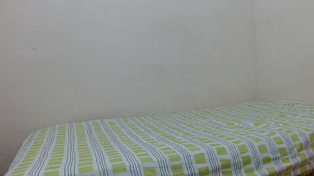 Evanhotx online show from January 2026 08:45:01 PM