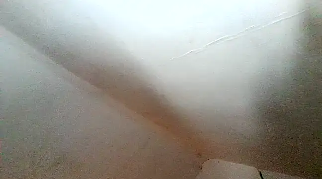 unclestefansdick online show from December 2024 06:28:01 PM