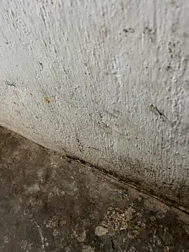 tamil000000 online show from November 2025 03:30:02 AM