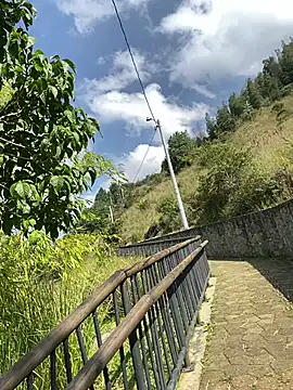 ElNegroRony online show from December 2024 02:49:02 PM