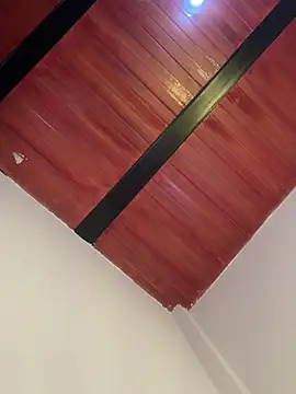 Snapshot of Cassie-millers chatting on December 2024 03:00:01 PM Cassie-millers online show from December 2024 03:00:01 PM