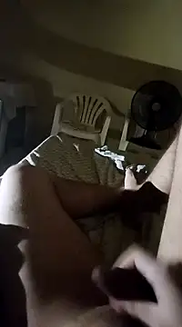 pedronovinho123 online show from December 2024 02:53:01 AM