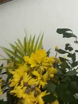 MireyaTorresGu online show from March 2026 02:23:02 PM