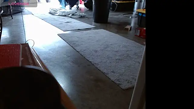 69vivian online show from December 2024 08:15:01 PM