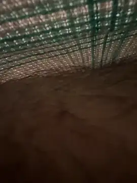 Snapshot of studdboyy chatting on December 2025 03:34:01 AM studdboyy online show from December 2025 03:34:01 AM