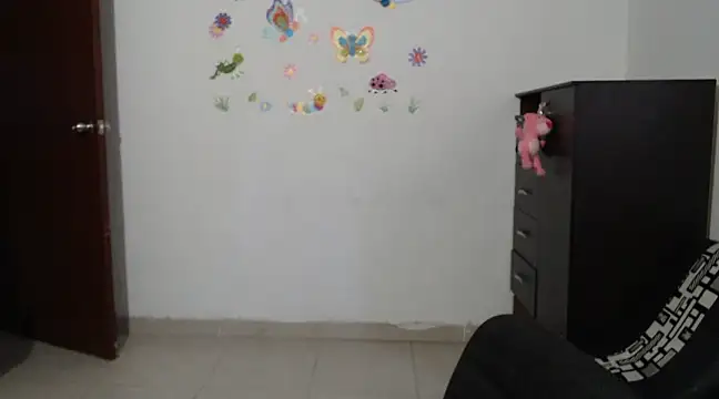 allison 11p online show from January 2025 11:54:01 AM