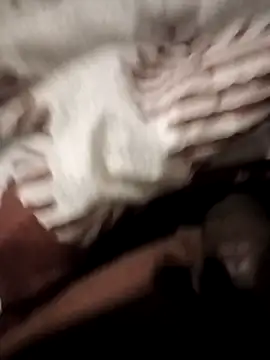 Lexwelll online show from January 2026 03:25:01 PM