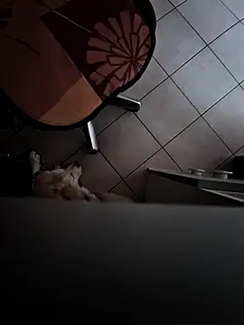 Snapshot of HardWolf2024 chatting on December 2024 02:49:02 PM HardWolf2024 online show from December 2024 02:49:02 PM