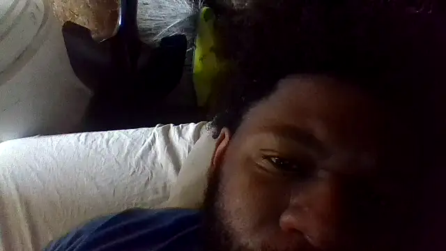 dvaughn3117 online show from June 2026 07:42:01 PM