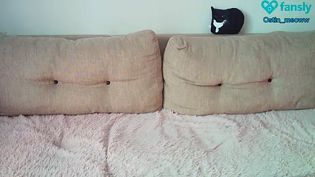 Ostin meow online show from February 2025 07:45:02 AM