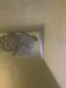 Snapshot of Tommy_y_Pamela chatting on February 2026 03:25:02 AM Tommy y Pamela online show from February 2026 03:25:02 AM