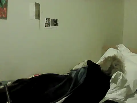 housewife shantie online show from February 2026 08:56:01 PM