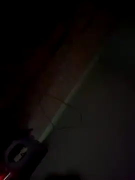 imissyoumylove14 online show from January 2025 07:47:02 AM