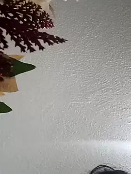 Naomy veracruz  online show from February 2026 10:09:02 AM