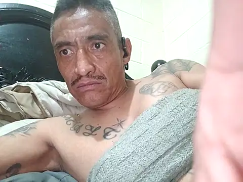 Innsaciable online show from April 2026 01:16:02 AM