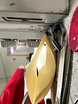 Snapshot of Mustafa-231 chatting on November 2025 02:42:01 PM Mustafa-231 online show from November 2025 02:42:01 PM