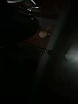 Snapshot of Mustafa-231 chatting on November 2025 06:33:02 PM Mustafa-231 online show from November 2025 06:33:02 PM