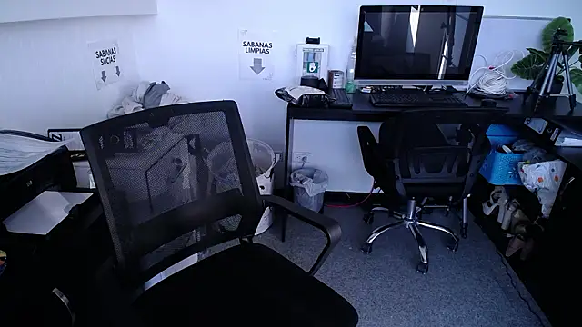 salome drasin online show from February 2026 12:17:02 PM