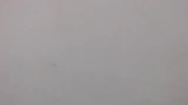 danilo302209 online show from January 2025 03:07:02 PM