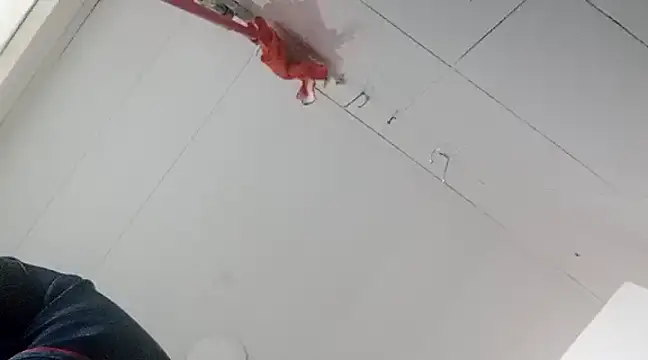 Darly Gomez online show from January 2025 10:33:02 PM