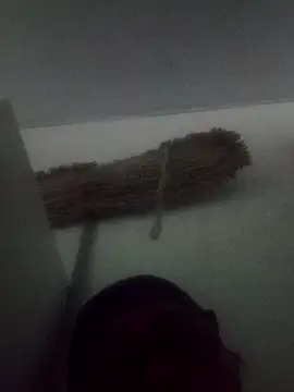 Darly Gomez online show from February 2025 05:33:01 PM