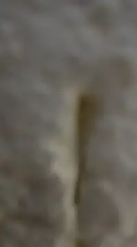 Snapshot of tuty_Tap chatting on December 2024 05:31:01 PM tuty Tap online show from December 2024 05:31:01 PM