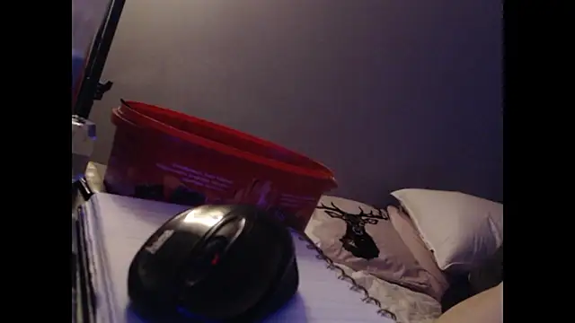 claymooreclydebonniebank online show from December 2024 04:45:02 AM