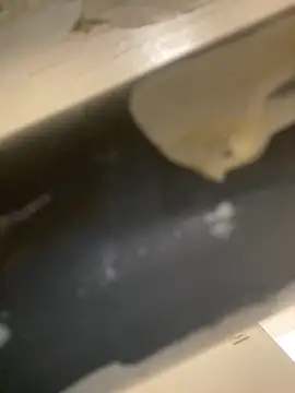 Snapshot of Mme_Milahotspicy chatting on October 2025 07:03:02 PM Mme Milahotspicy online show from October 2025 07:03:02 PM