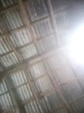 Feli230990 online show from March 2025 04:13:01 AM