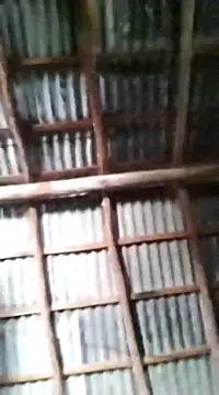 Feli230990 online show from March 2025 06:12:02 PM