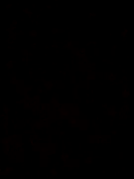 Feli230990 online show from October 2025 07:50:01 AM