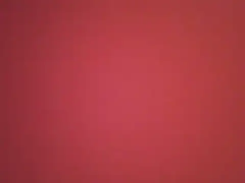  revianzip1 online show from December 2024 08:07:01 PM