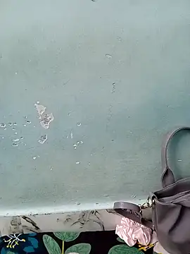 Snapshot of Haniya-143 chatting on December 2025 11:12:01 PM Haniya-143 online show from December 2025 11:12:01 PM