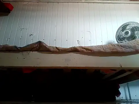 frotasso online show from February 2026 03:23:02 PM