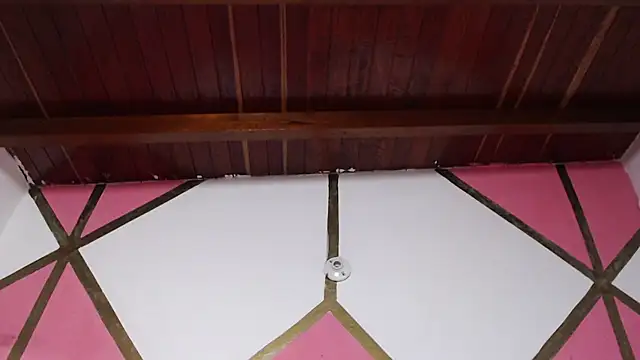 Snapshot of Ebony_Baby1 chatting on December 2025 08:21:02 AM Ebony Baby1 online show from December 2025 08:21:02 AM