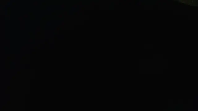 dream fulfilled online show from March 2025 11:31:02 PM