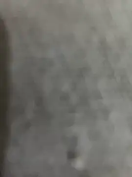 Gordelicia03 online show from March 2026 03:02:02 AM