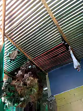 thamygomezz online show from September 2025 04:39:01 PM