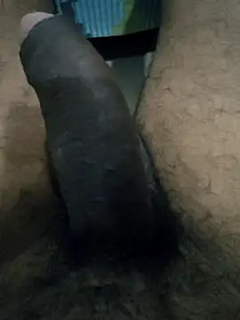 kamesh telugu online show from October 2025 05:22:01 PM