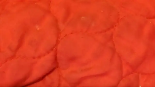 Snapshot of Huntzg23 chatting on November 2025 07:44:02 AM Huntzg23 online show from November 2025 07:44:02 AM