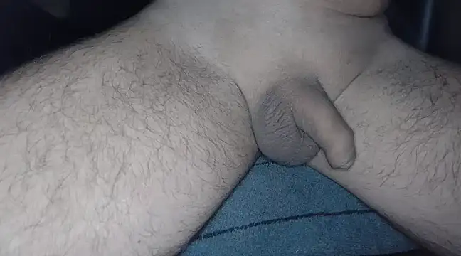 cs1512 online show from March 2025 05:08:02 AM