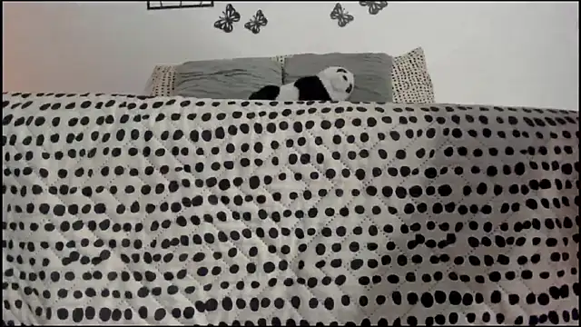 Snapshot of Keiny-Rave chatting on March 2025 01:32:01 AM Keiny-Rave online show from March 2025 01:32:01 AM