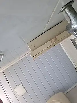 ppatriciarabello online show from December 2025 11:38:02 AM