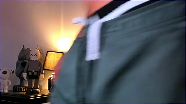 Snapshot of BradLeon_ chatting on November 2025 09:36:01 PM BradLeon online show from November 2025 09:36:01 PM