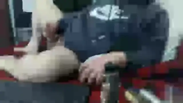 party51502 online show from February 2026 03:05:02 PM