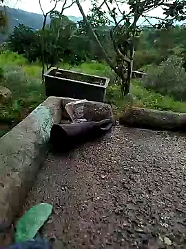 Snapshot of crazysex095 chatting on January 2025 08:46:02 PM crazysex095 online show from January 2025 08:46:02 PM