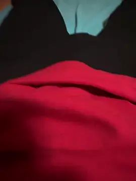 Snapshot of Dvddd chatting on November 2025 12:47:01 PM Dvddd online show from November 2025 12:47:01 PM